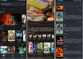 网盘资源收藏(夸克) - Android AfuseKt (网络视频播放器) v1.4.1-10200

