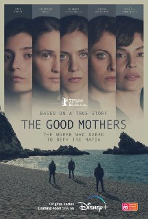 网盘资源收藏(夸克) - 好母亲 The Good Mothers (2023)

